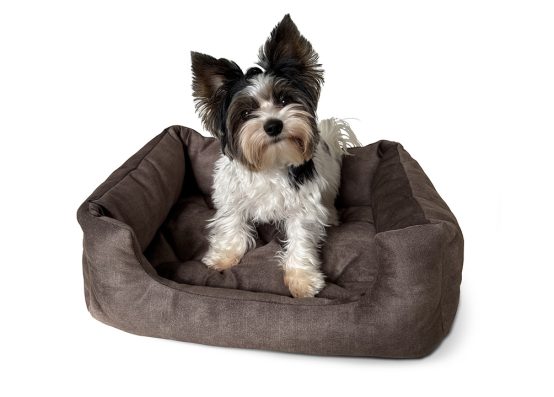 Лежак для тварин прямокутний, з милим задоволеним песиком